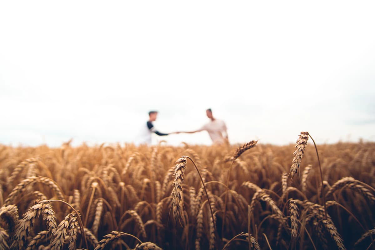agriculture industry scene